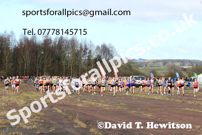 Senior womens 2023 Elswick Harriers Road Relays, Albamarle Barrack Airfield, Ouston, Northumberland. Photo: David T. Hewitson/Sports for All Pics